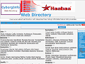 Web directory - cyborginfo